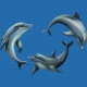 Mosaik motiv - Playing dolphins