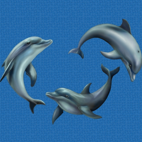 Mosaik motiv - Playing dolphins