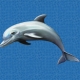Mosaik motiv - Dolphin