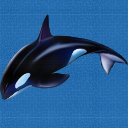 Mosaik motiv - Orca