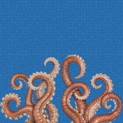 Mosaik motiv - Octopus