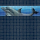 Mosaik border - Dolphin